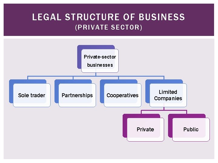 LEGAL STRUCTURE OF BUSINESS (PRIVATE SECTOR) Private-sector businesses Sole trader Partnerships Cooperatives Private Limited