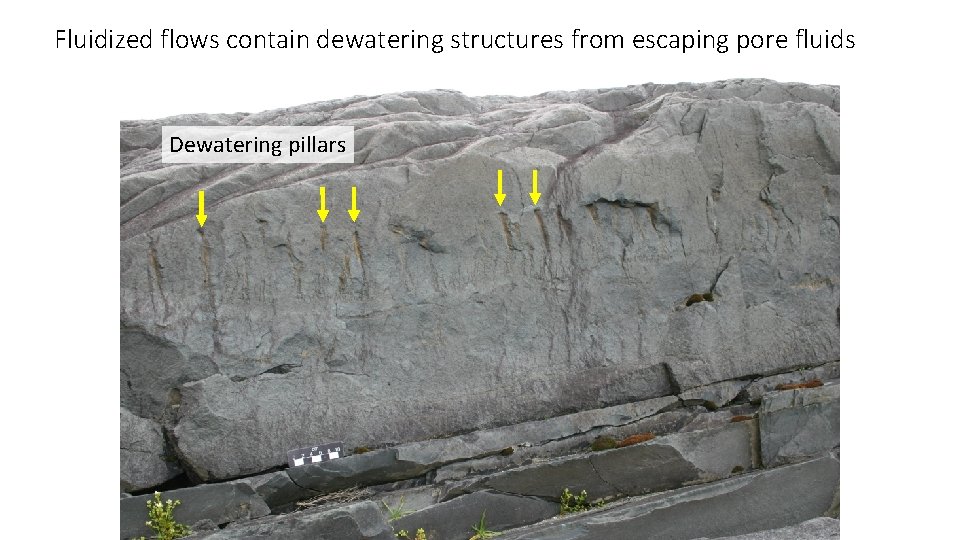 Fluidized flows contain dewatering structures from escaping pore fluids Dewatering pillars 