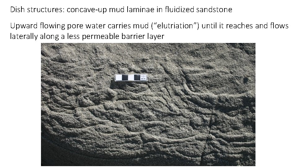 Dish structures: concave-up mud laminae in fluidized sandstone Upward flowing pore water carries mud