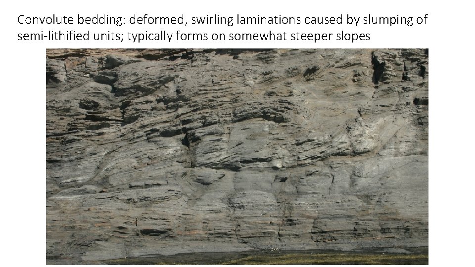 Convolute bedding: deformed, swirling laminations caused by slumping of semi-lithified units; typically forms on