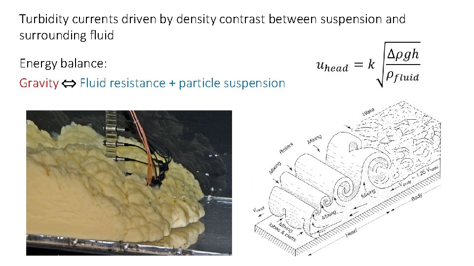 Turbidity currents driven by density contrast between suspension and surrounding fluid Energy balance: Gravity