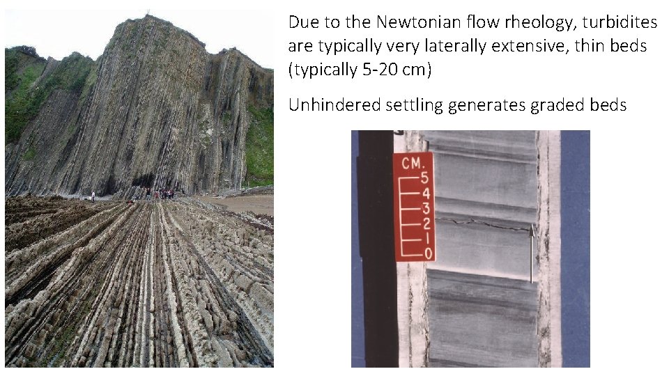 Due to the Newtonian flow rheology, turbidites are typically very laterally extensive, thin beds
