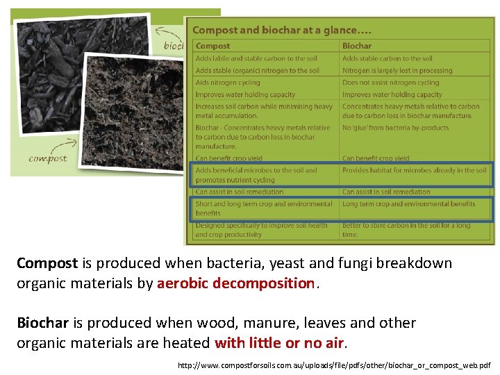 Compost is produced when bacteria, yeast and fungi breakdown organic materials by aerobic decomposition.