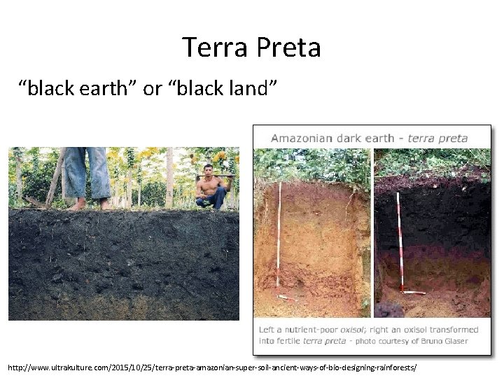 Terra Preta “black earth” or “black land” http: //www. ultrakulture. com/2015/10/25/terra-preta-amazonian-super-soil-ancient-ways-of-bio-designing-rainforests/ 