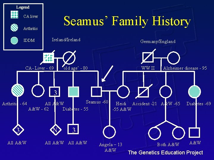 Legend Seamus’ Family History CA liver Arthritis IDDM Ireland/Ireland CA- Liver - 69 Germany/England