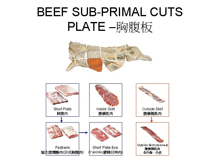 BEEF SUB-PRIMAL CUTS PLATE –胸腹板 Short Plate 胸腹肉 Inside Skirt 腹橫肌肉 Outside Skirt 腹橫隔肌肉