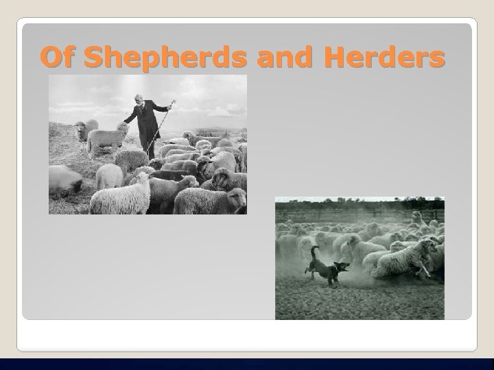 Of Shepherds and Herders 