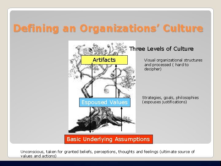 Defining an Organizations’ Culture Three Levels of Culture Artifacts Espoused Values Visual organizational structures