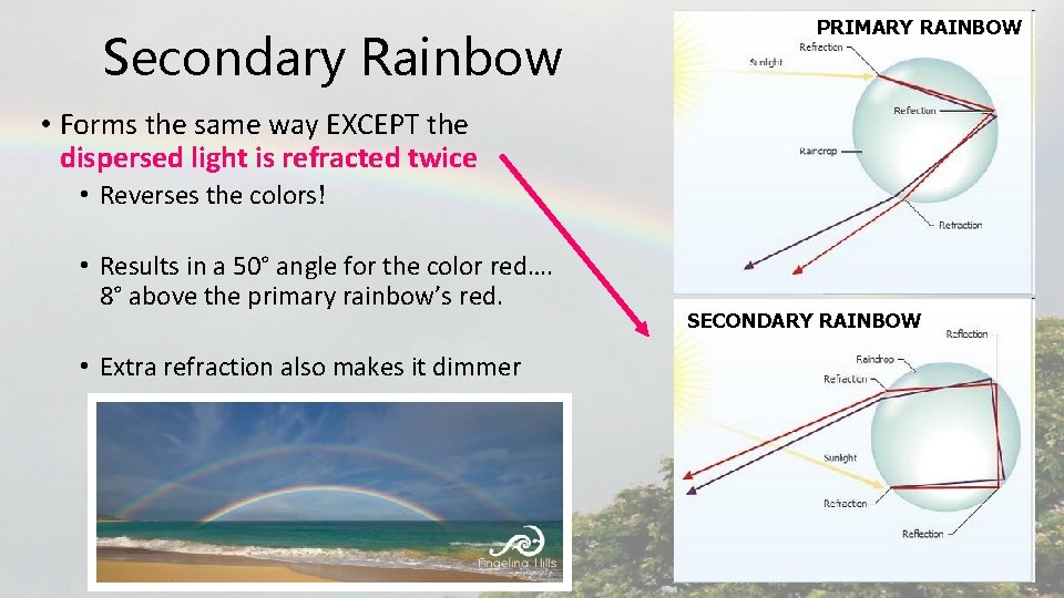 Secondary Rainbow PRIMARY RAINBOW • Forms the same way EXCEPT the dispersed light is