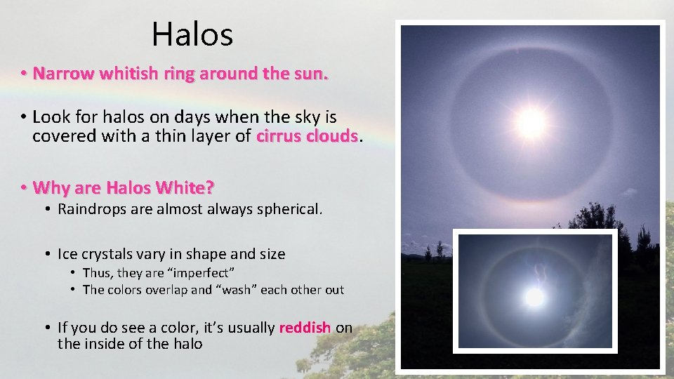 Halos • Narrow whitish ring around the sun. • Look for halos on days