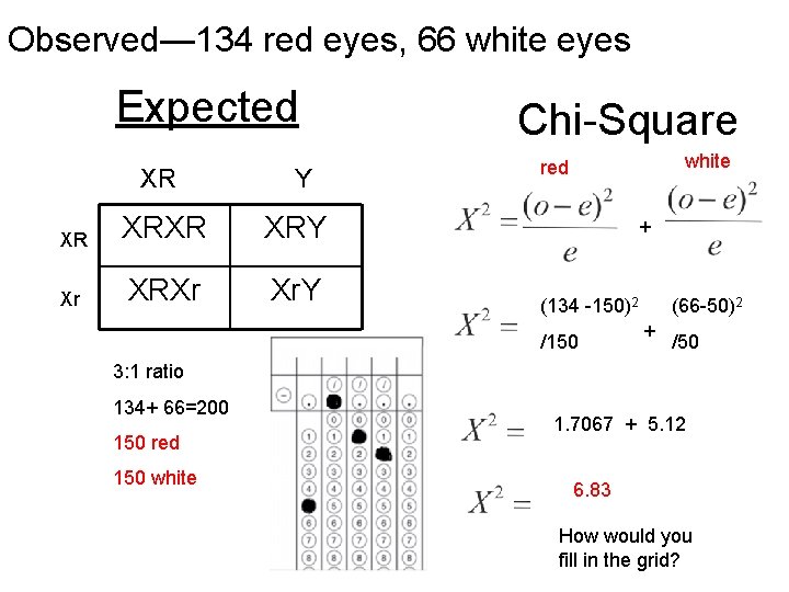 Observed— 134 red eyes, 66 white eyes XR Y XR XRY Xr XRXr Xr.