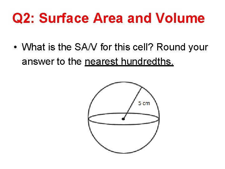 Q 2: Surface Area and Volume • What is the SA/V for this cell?