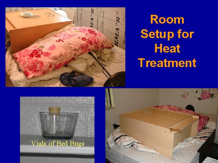 Room Setup for Heat Treatment Vials of Bed Bugs 