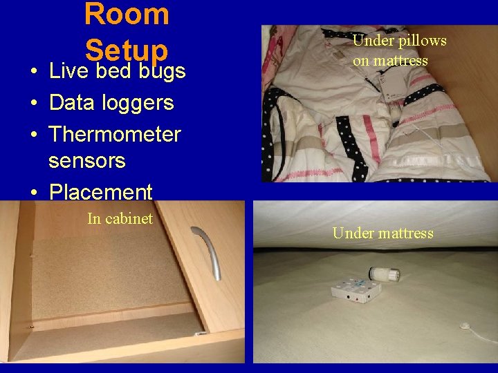 Room Setup • Live bed bugs • Data loggers • Thermometer sensors • Placement