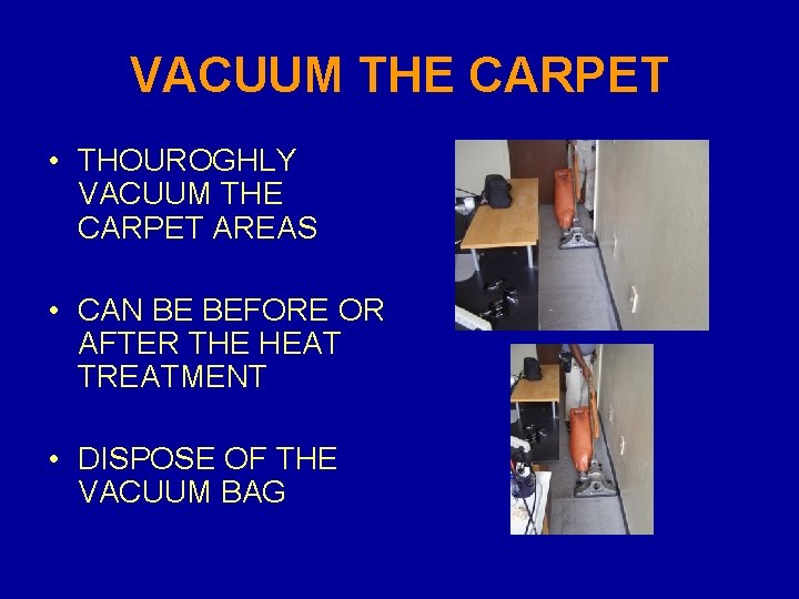 VACUUM THE CARPET • THOUROGHLY VACUUM THE CARPET AREAS • CAN BE BEFORE OR