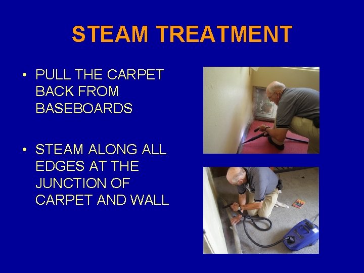 STEAM TREATMENT • PULL THE CARPET BACK FROM BASEBOARDS • STEAM ALONG ALL EDGES