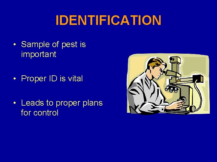 IDENTIFICATION • Sample of pest is important • Proper ID is vital • Leads