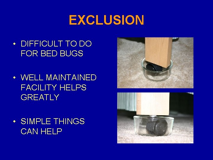EXCLUSION • DIFFICULT TO DO FOR BED BUGS • WELL MAINTAINED FACILITY HELPS GREATLY
