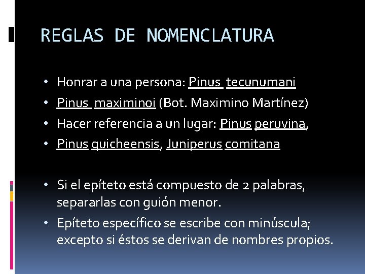 REGLAS DE NOMENCLATURA • • Honrar a una persona: Pinus tecunumani Pinus maximinoi (Bot.