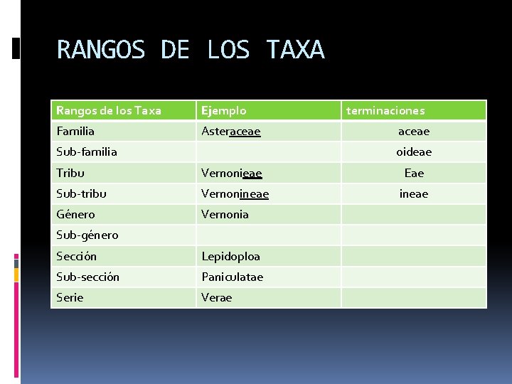 RANGOS DE LOS TAXA Rangos de los Taxa Ejemplo Familia Asteraceae Sub-familia terminaciones aceae