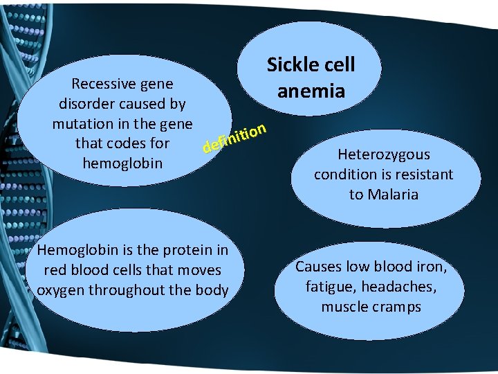 Sickle cell anemia Recessive gene disorder caused by mutation in the gene n o
