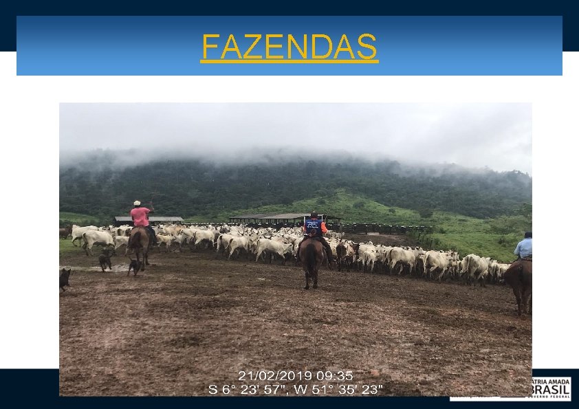 FAZENDAS 