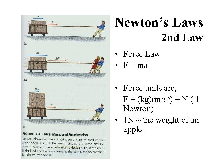 Newton’s Laws 2 nd Law • Force Law • F = ma • Force