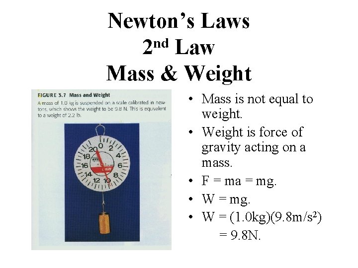 Newton’s Laws nd 2 Law Mass & Weight • Mass is not equal to