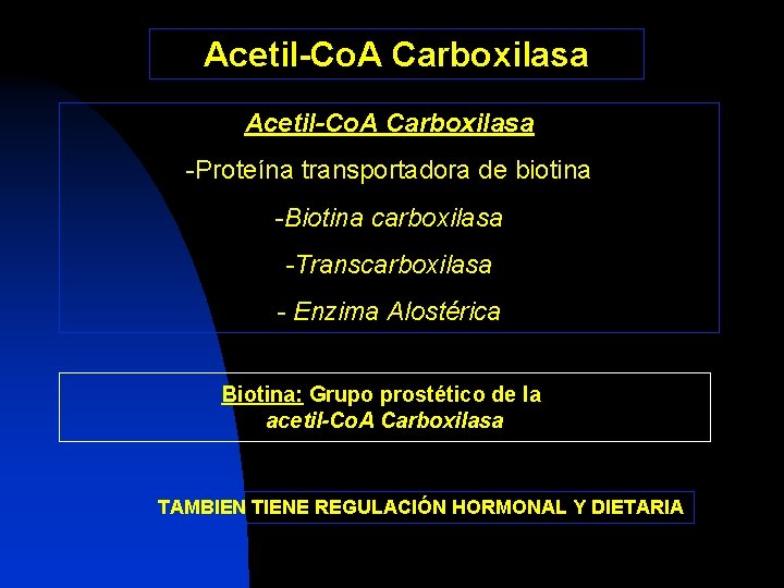 Acetil-Co. A Carboxilasa -Proteína transportadora de biotina -Biotina carboxilasa -Transcarboxilasa - Enzima Alostérica Biotina: