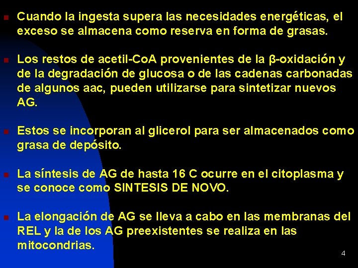 n n n Cuando la ingesta supera las necesidades energéticas, el exceso se almacena