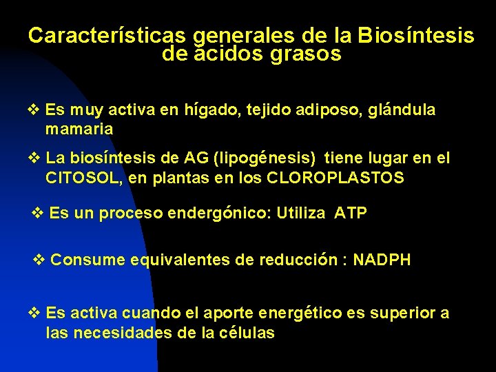 Características generales de la Biosíntesis de ácidos grasos v Es muy activa en hígado,