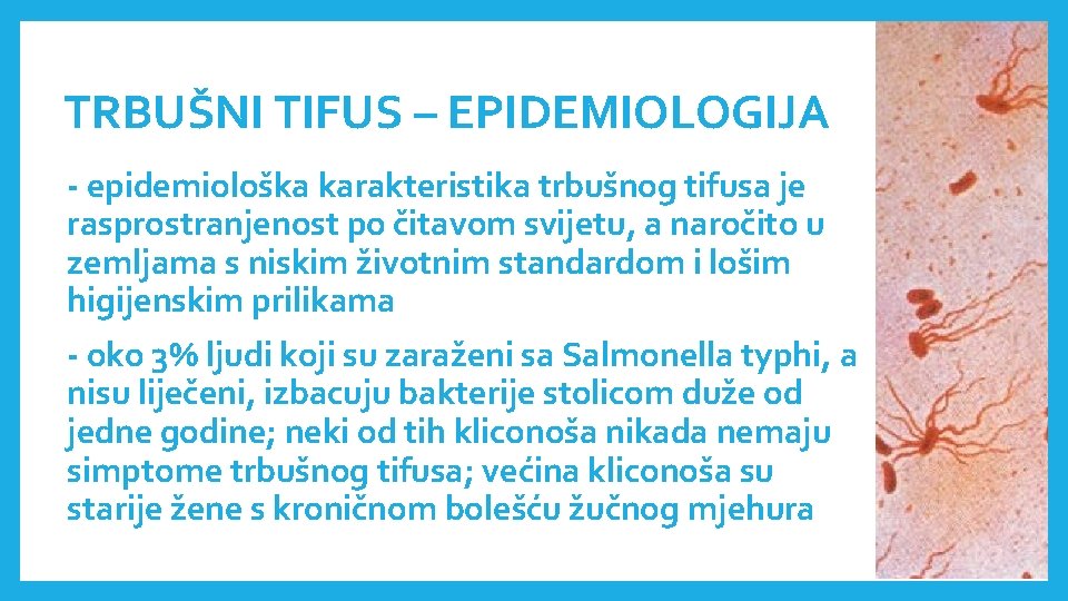 TRBUŠNI TIFUS – EPIDEMIOLOGIJA - epidemiološka karakteristika trbušnog tifusa je rasprostranjenost po čitavom svijetu,