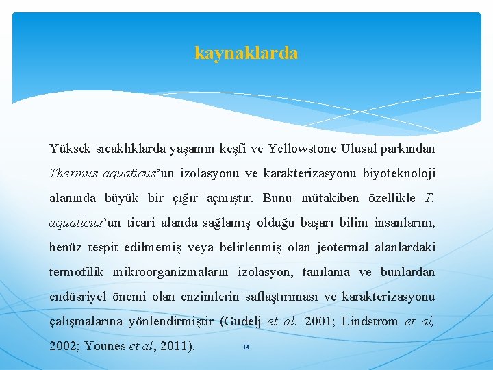 kaynaklarda Yüksek sıcaklıklarda yaşamın keşfi ve Yellowstone Ulusal parkından Thermus aquaticus’un izolasyonu ve karakterizasyonu