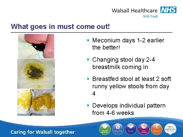 What goes in must come out! § Meconium days 1 -2 earlier the better!
