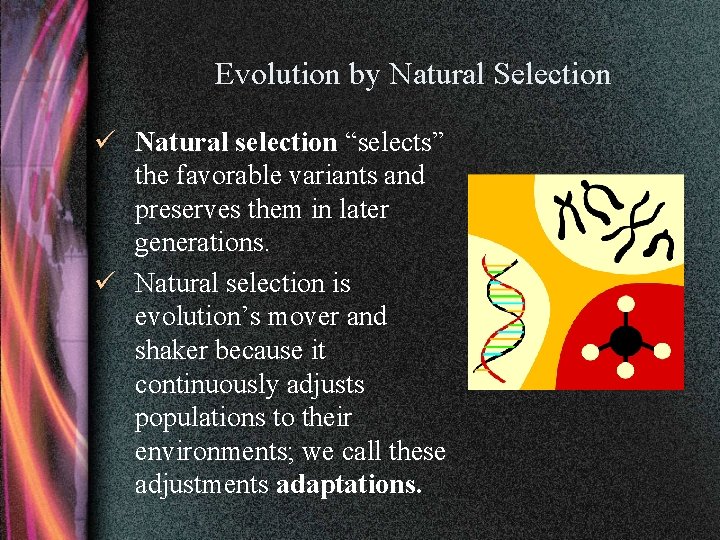 Evolution by Natural Selection ü Natural selection “selects” the favorable variants and preserves them