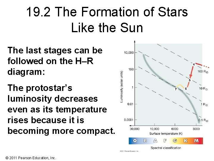 19. 2 The Formation of Stars Like the Sun The last stages can be