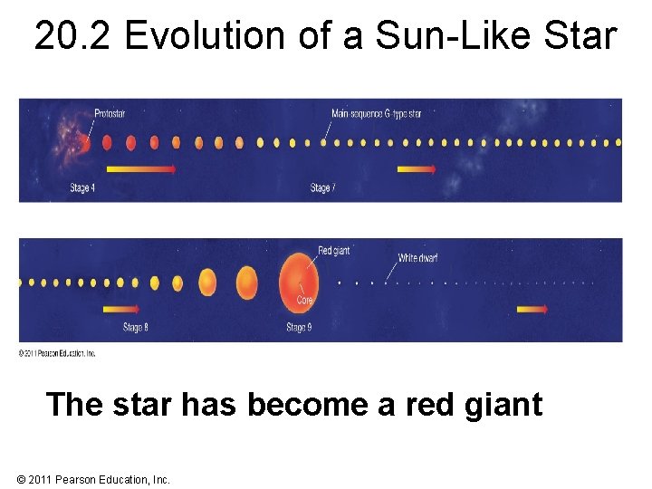 20. 2 Evolution of a Sun-Like Star The star has become a red giant