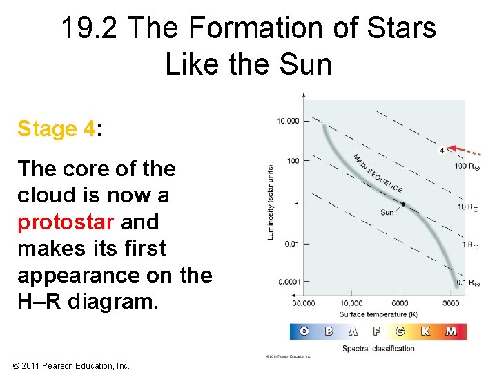 19. 2 The Formation of Stars Like the Sun Stage 4: The core of