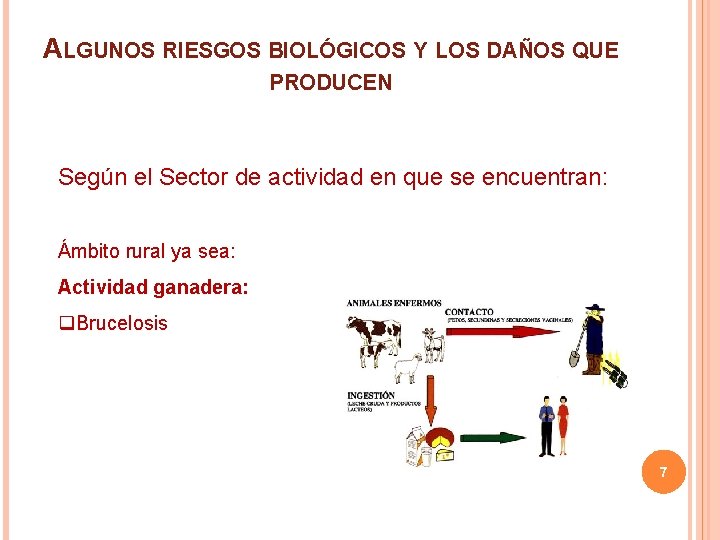 ALGUNOS RIESGOS BIOLÓGICOS Y LOS DAÑOS QUE PRODUCEN Según el Sector de actividad en