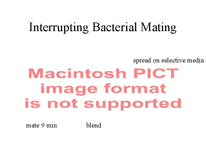 Interrupting Bacterial Mating spread on selective media mate 9 min blend 