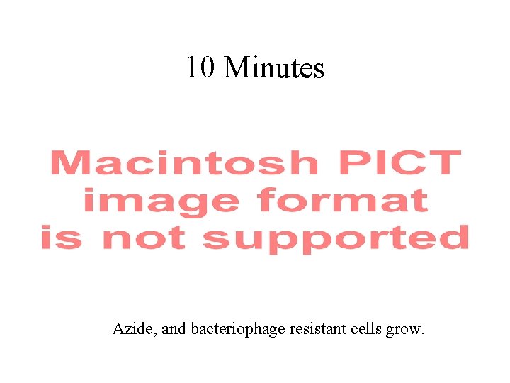 10 Minutes Azide, and bacteriophage resistant cells grow. 