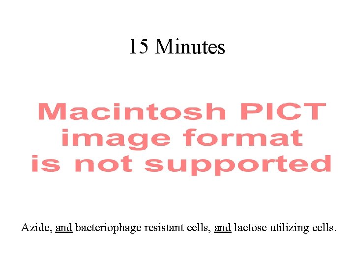 15 Minutes Azide, and bacteriophage resistant cells, and lactose utilizing cells. 