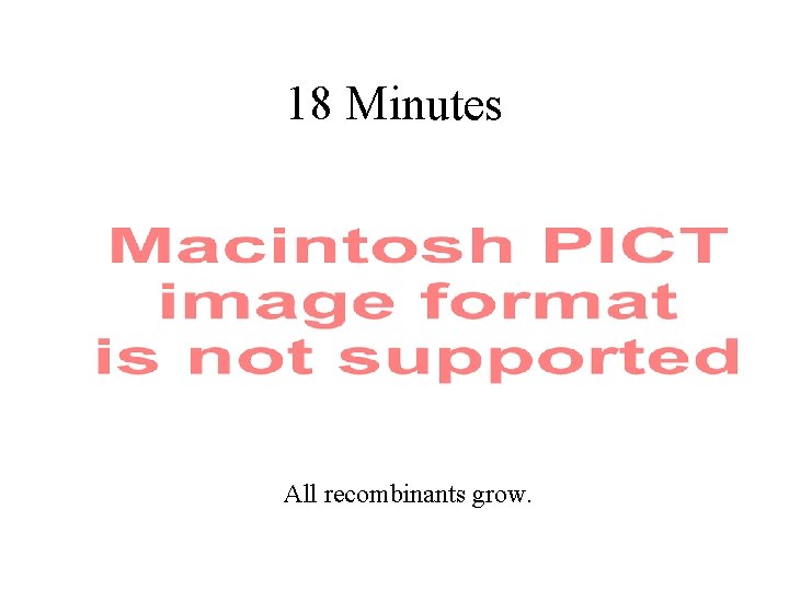 18 Minutes All recombinants grow. 