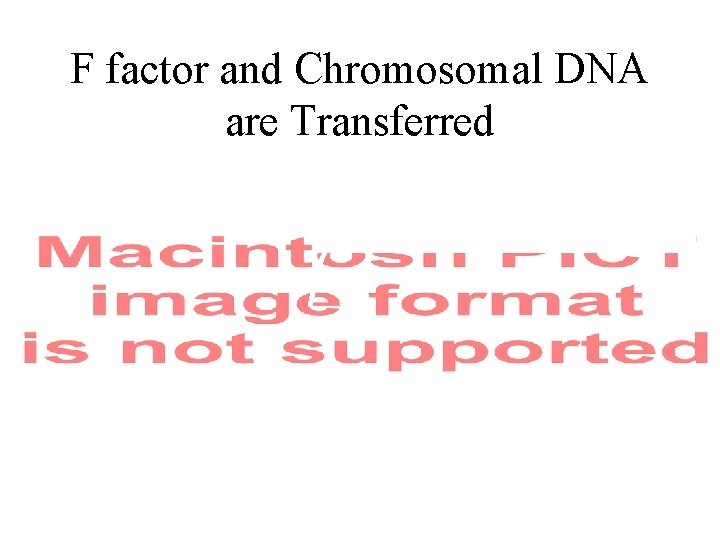 F factor and Chromosomal DNA are Transferred 