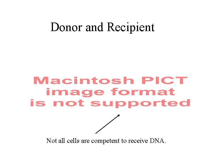 Donor and Recipient Not all cells are competent to receive DNA. 