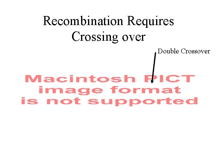 Recombination Requires Crossing over Double Crossover 