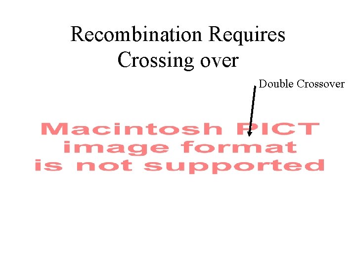 Recombination Requires Crossing over Double Crossover 