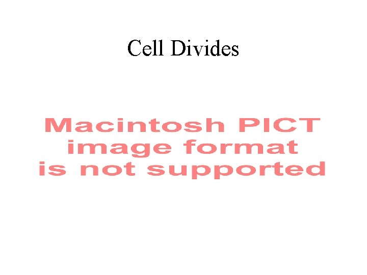Cell Divides 