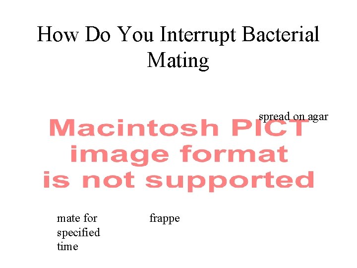 How Do You Interrupt Bacterial Mating spread on agar mate for specified time frappe