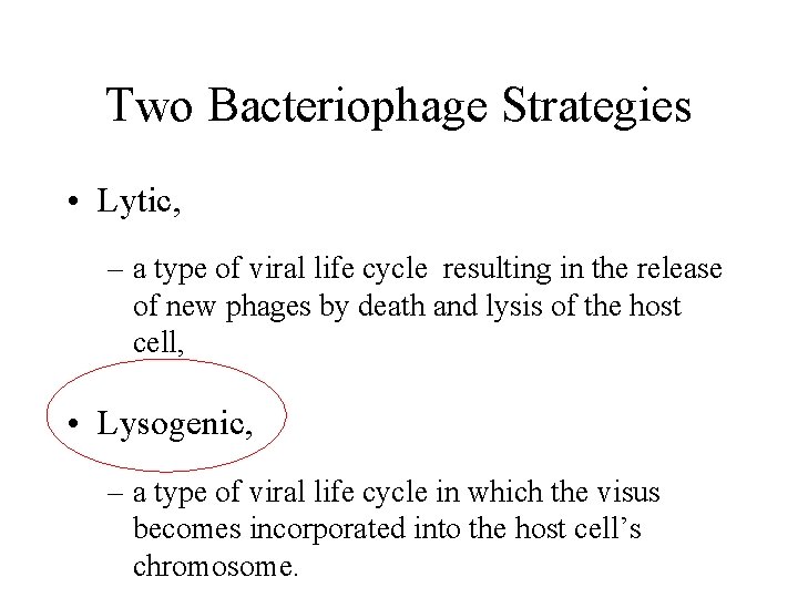 Two Bacteriophage Strategies • Lytic, – a type of viral life cycle resulting in